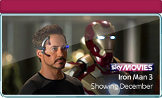 The Movies Bundle