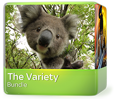 The Variety Bundle